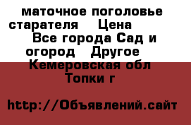 маточное поголовье старателя  › Цена ­ 3 700 - Все города Сад и огород » Другое   . Кемеровская обл.,Топки г.